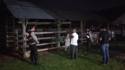 Apresiasi Warga Mengalir, Polisi Hadir di Tengah Sunyi Dini Hari Amankan Hewan Ternak