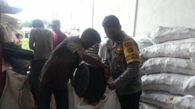 Jaga Kualitas, Polri Bantu Petani Lombok Barat Pipil Jagung