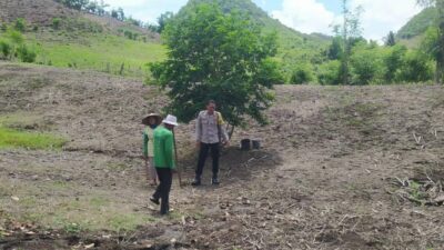 Kamtibmas Kondusif, Bhabinkamtibmas Dukung Program Tanam Jagung