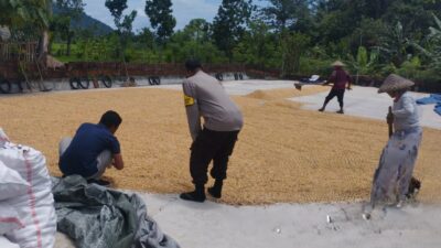 Polri Dampingi Bulog Cek Mutu 3 Ton Jagung Petani di Gerung Lombok Barat
