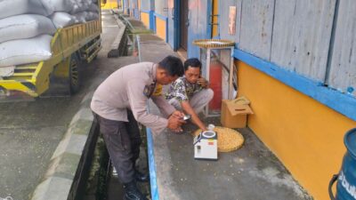 Bhabinkamtibmas Labuapi Amankan Penyerapan Jagung 1 Ton